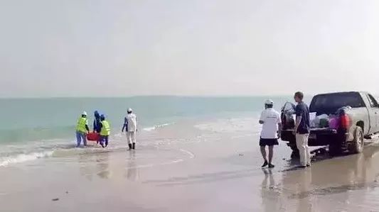 腾博会官网·专业效劳,诚信为本