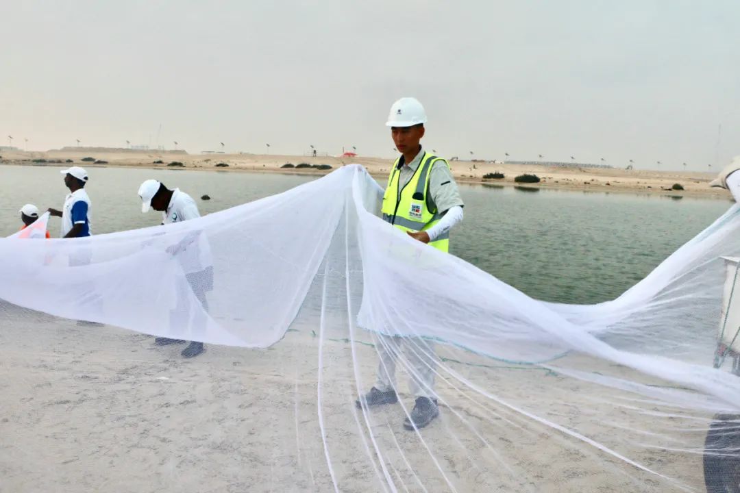腾博会官网·专业效劳,诚信为本