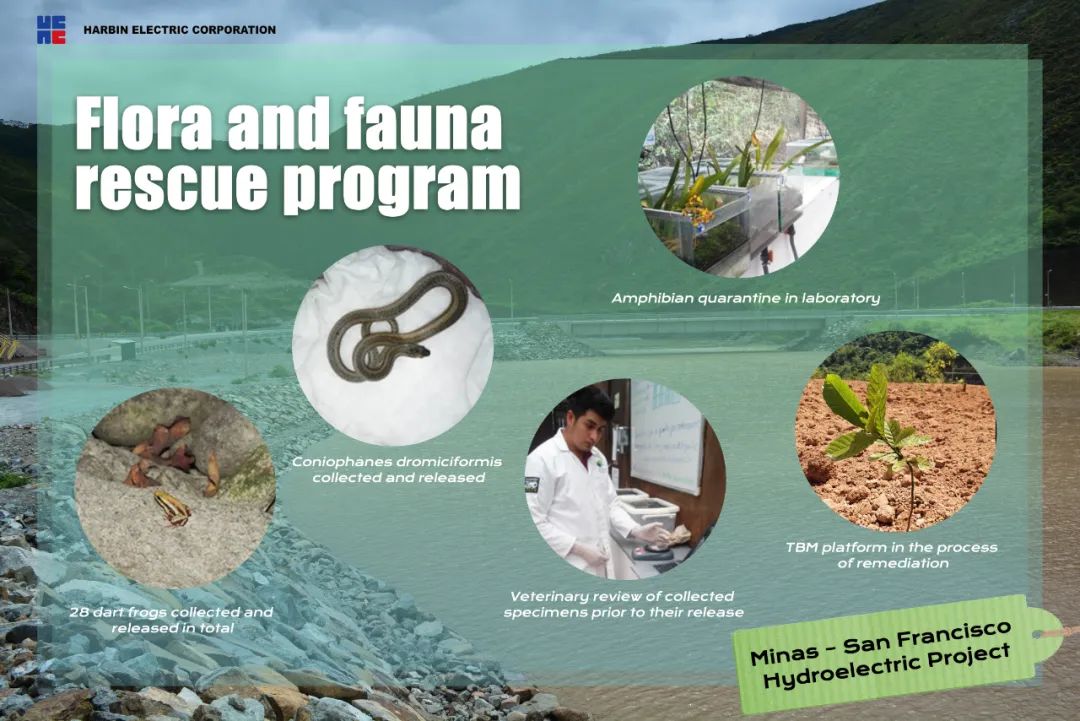 腾博会官网·专业效劳,诚信为本