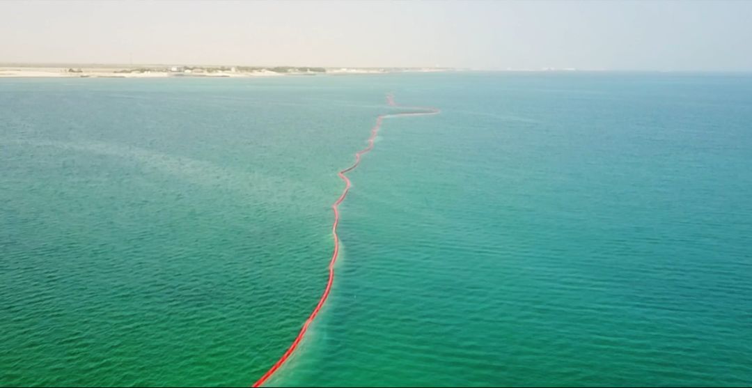 腾博会官网·专业效劳,诚信为本