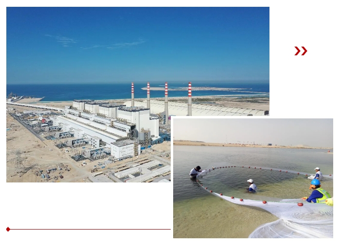 腾博会官网·专业效劳,诚信为本