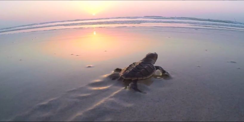 腾博会官网·专业效劳,诚信为本