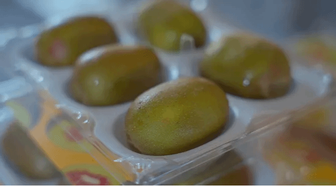 腾博会官网·专业效劳,诚信为本