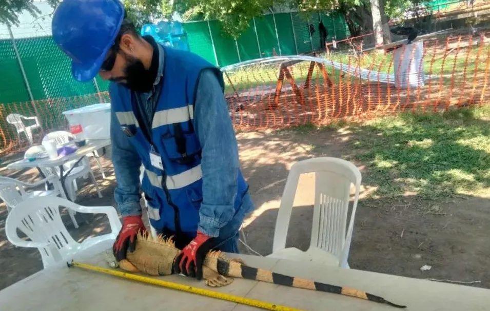 腾博会官网·专业效劳,诚信为本