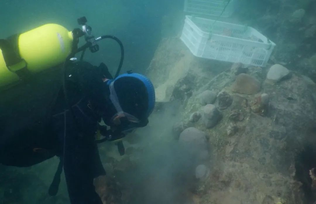 腾博会官网·专业效劳,诚信为本