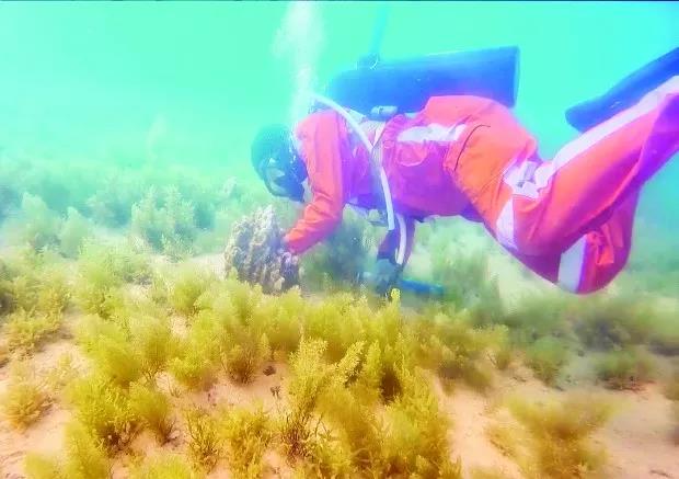 腾博会官网·专业效劳,诚信为本