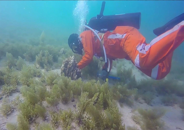 腾博会官网·专业效劳,诚信为本