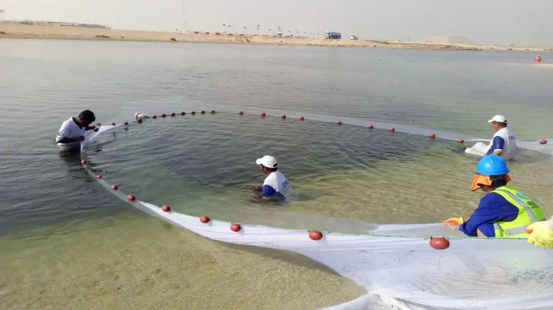 腾博会官网·专业效劳,诚信为本