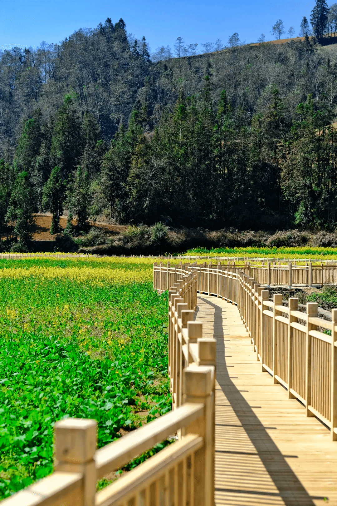 腾博会官网·专业效劳,诚信为本