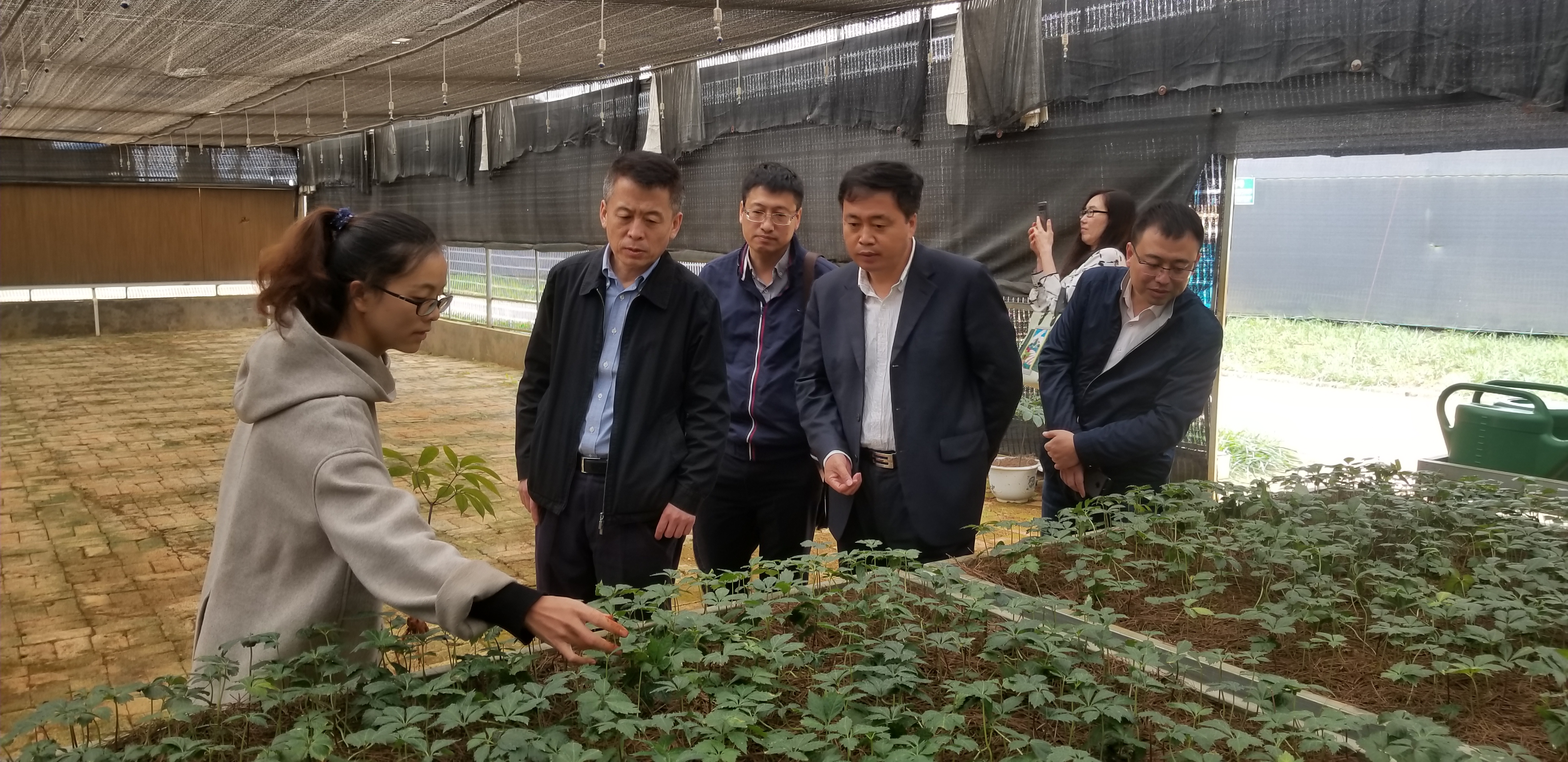 腾博会官网·专业效劳,诚信为本