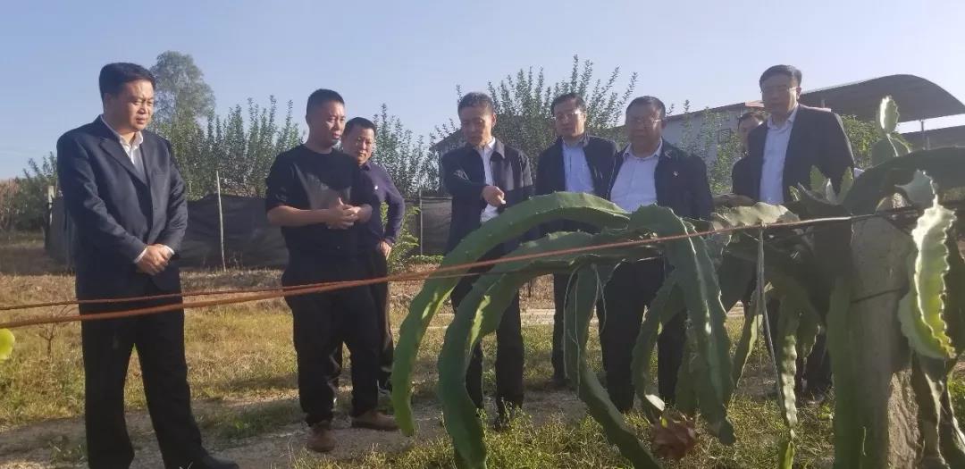 腾博会官网·专业效劳,诚信为本