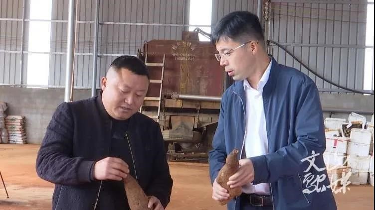 腾博会官网·专业效劳,诚信为本