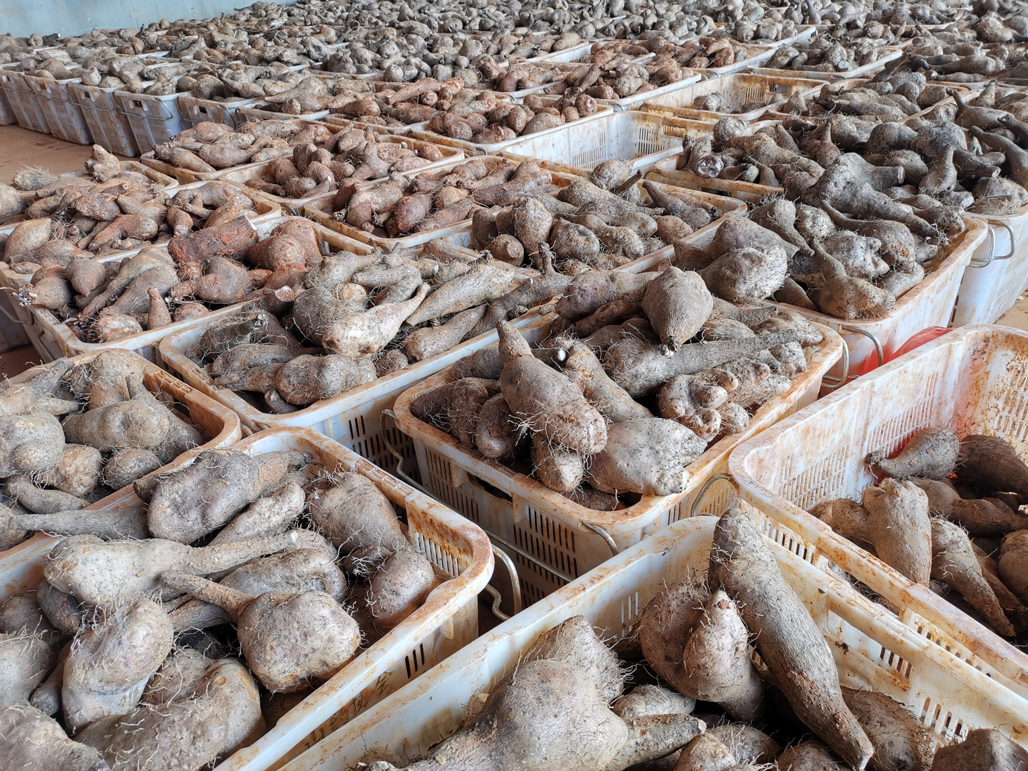 腾博会官网·专业效劳,诚信为本